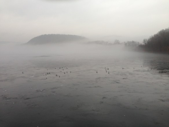 The Wanaque Resevoir in Ringwood, New Jersey, where I hike while Martin rides horses. I took this picture with my iPhone a couple weeks ago. Life is good.