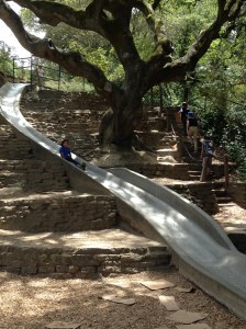Slide at Codornices Park. Martin is the top kid on the stairs, carrying cardboard in his left hand.
