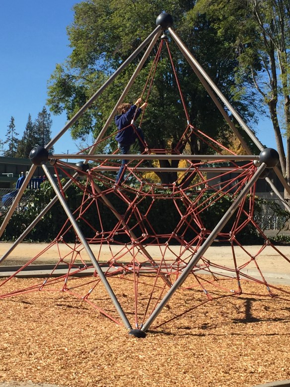 This isn't the beast! This is the cutest little man ever. Martin, at play, Mountain View, California.